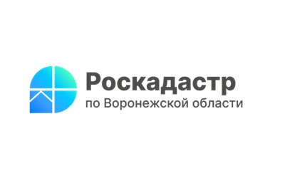 Почти 3 тысячи объектов культурного наследия Воронежской области внесено в ЕГРН.