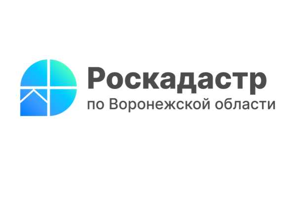 За полгода воронежцы заказали в 30 раз больше электронных выписок из ЕГРН, чем бумажных. За полгода воронежцы заказали в 30 раз больше электронных выписок из ЕГРН, чем бумажных.